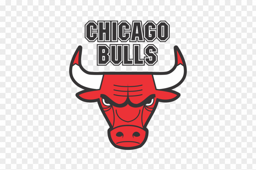 Bull United Center Chicago Bulls NBA Phoenix Suns Washington Wizards PNG