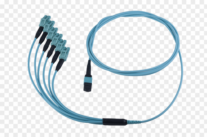Cable Harness Network Cables Fanout 10 Gigabit Ethernet Optical Fiber Electrical PNG
