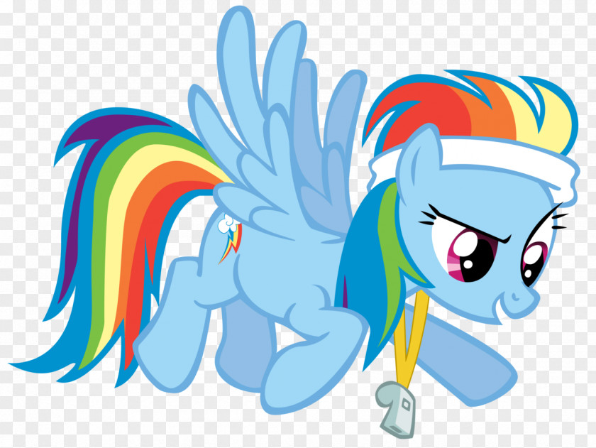 Dash Rainbow Pony Rarity Pinkie Pie PNG