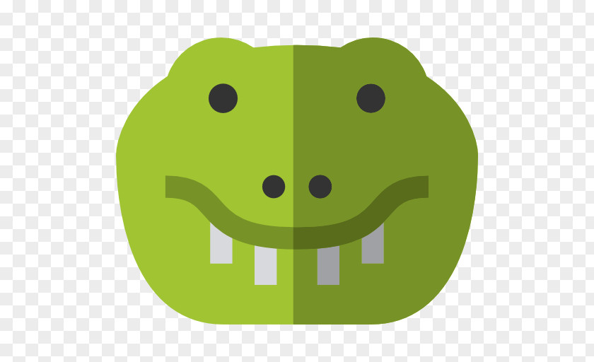 Frog Crocodile Reptile PNG