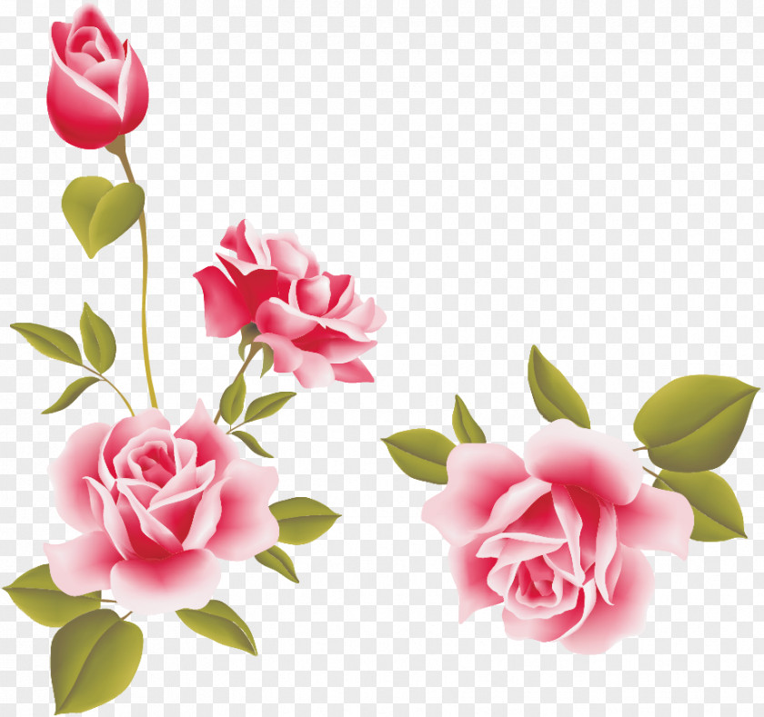 Pearl Flower Still Life: Pink Roses Flowers Clip Art PNG