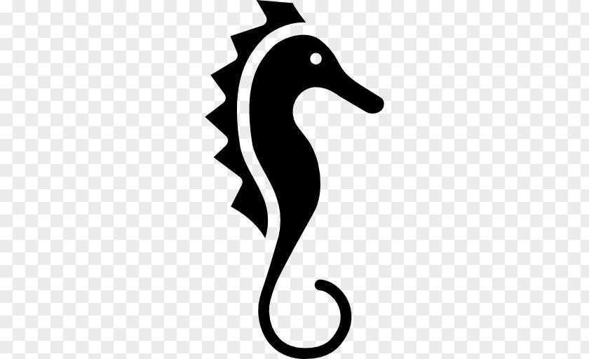 Seahorse Clip Art PNG