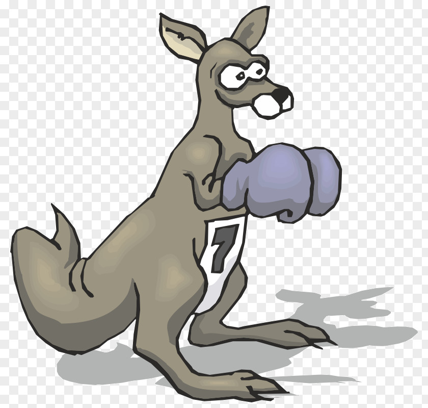 Boxing Kangaroo Glove Red PNG