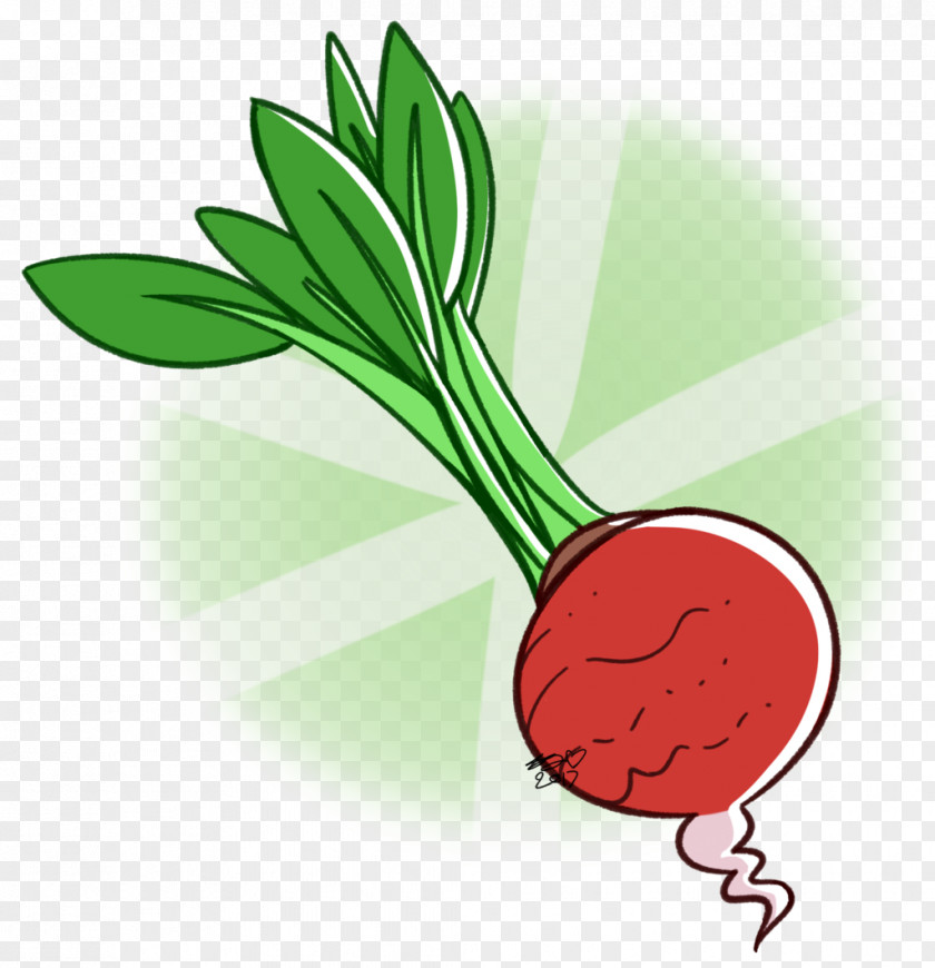 Raddish Clip Art Vegetable Fruit Product Plant Stem PNG
