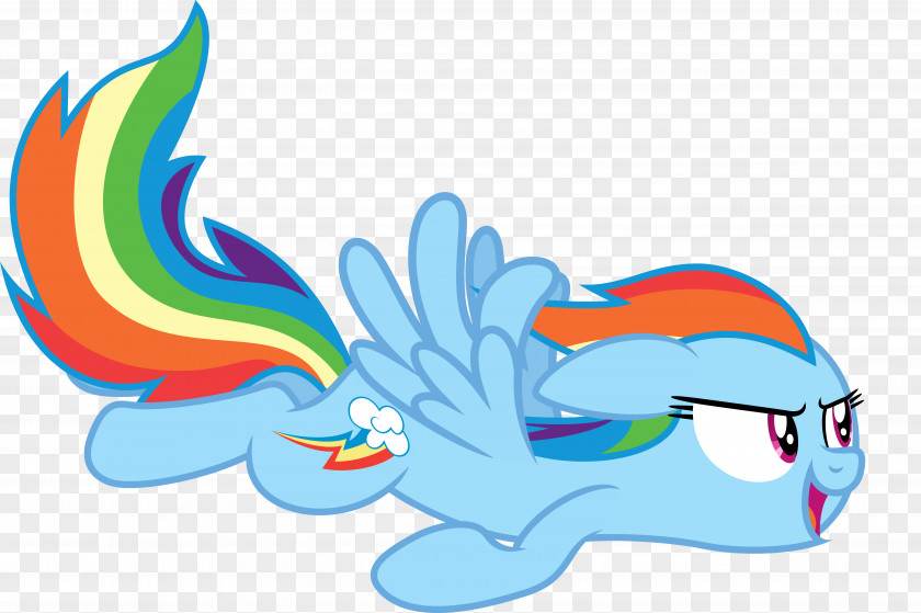 Rainbow Dash Art My Little Pony PNG