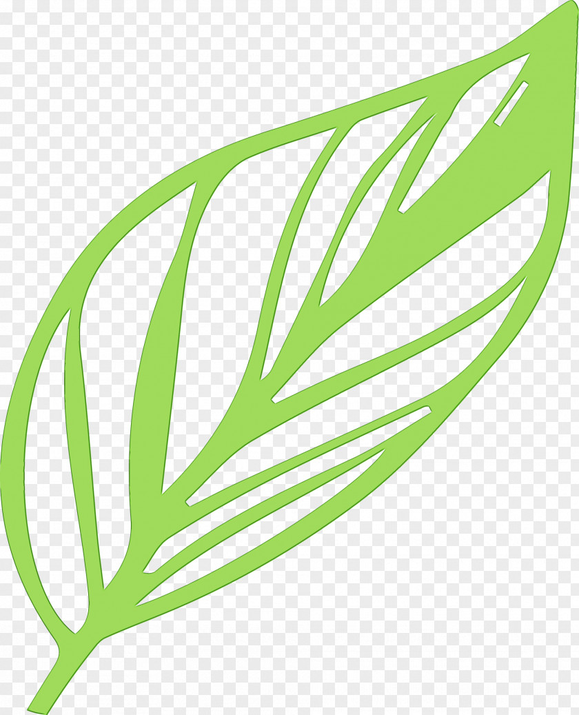 Salad PNG