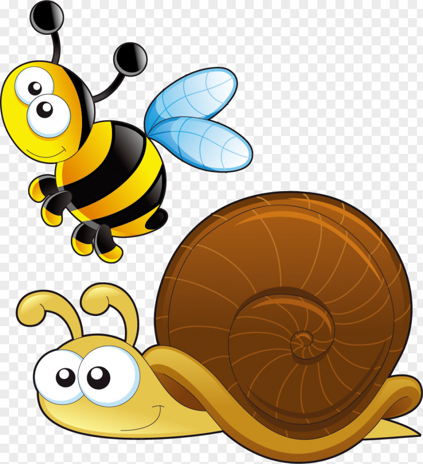 Snail Gastropods Reptile Animal Clip Art PNG