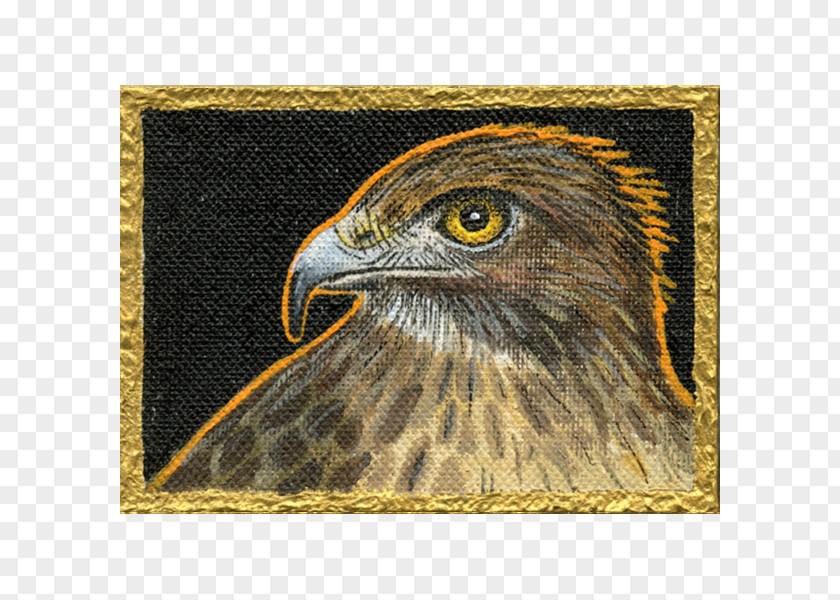 Earth Tones Bald Eagle Riverstone Gallery Bird Hawk PNG