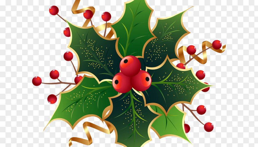 Flower Ilex Verticillataamerican Winterberry Christmas Decoration Cartoon PNG