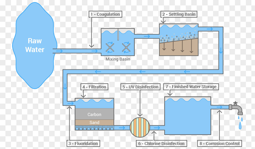 Rehabilitation Chart For Teeth Engineering Technology Line PNG