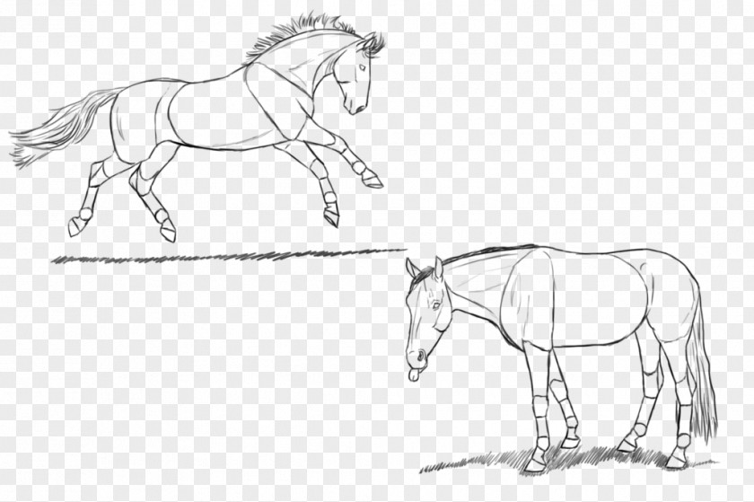 Sketched Pony Mustang Rein Bridle Halter PNG