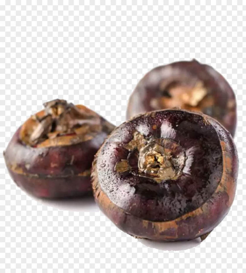 Three Horseshoe Eleocharis Dulcis Food Vegetable Taobao PNG