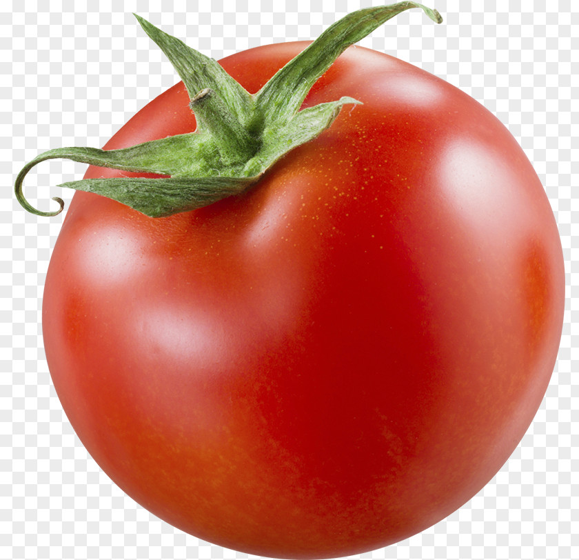 Tomato Plum Bush Organic Food PNG