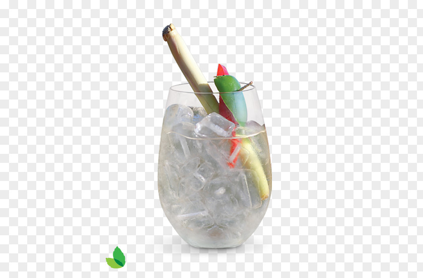 Watercolor Drink. Tropical Drink Gin And Tonic Cocktail Garnish Art Director PNG
