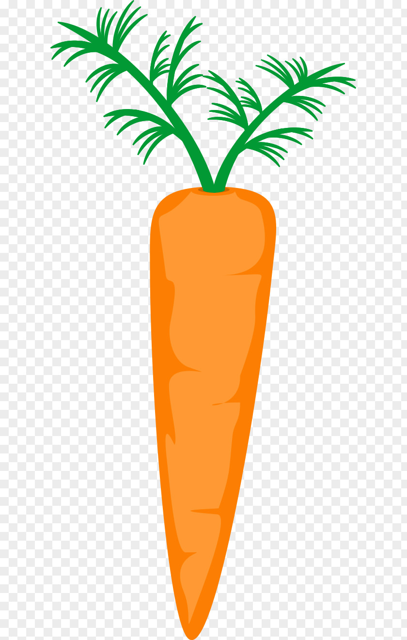 Carrot Flower Clip Art PNG