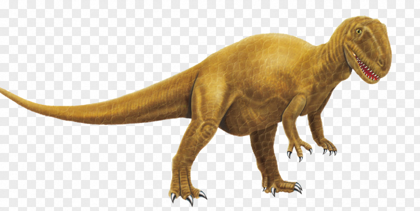 Dinosaur Tyrannosaurus Pictures Megalosaurus Triceratops PNG