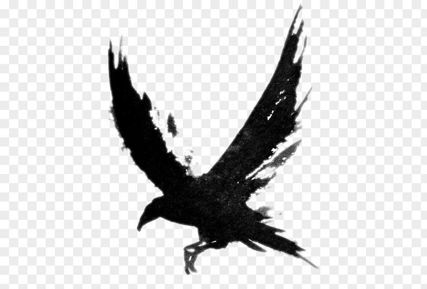 Flying Crow Common Raven Tattoo Bird Drawing Clip Art PNG