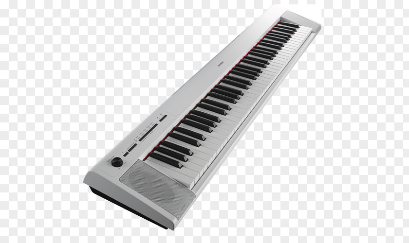 Keyboard Electronic Digital Piano Yamaha Corporation Musical PNG