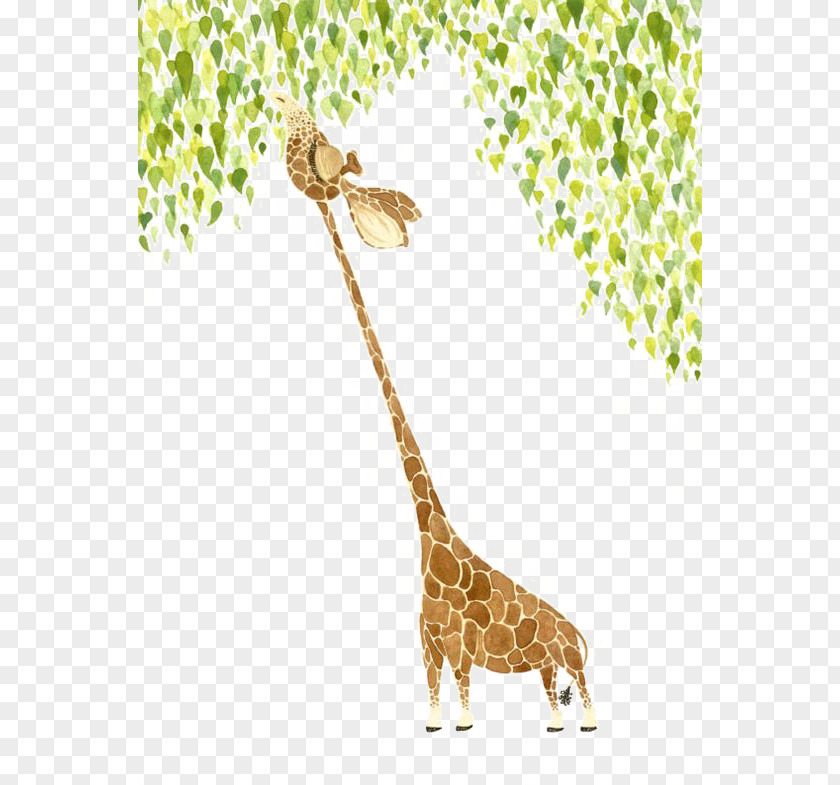 Watercolor Giraffe Painting Illustrator Art Illustration PNG