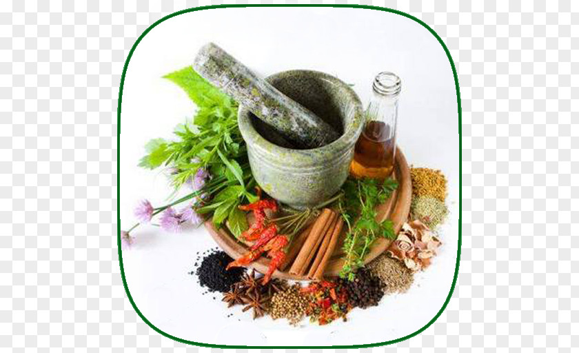 Ayurvedic Healing Herb Thai Cuisine Spice PHARMACIE AL JABAL Oil PNG