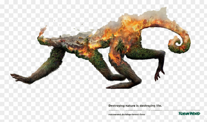 Creative Posters Advertising Campaign Disappearing Animals Grabarz & Partner Art Director PNG