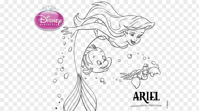 PEQUENA SEREIA Ariel Rapunzel Sebastian Coloring Book Drawing PNG