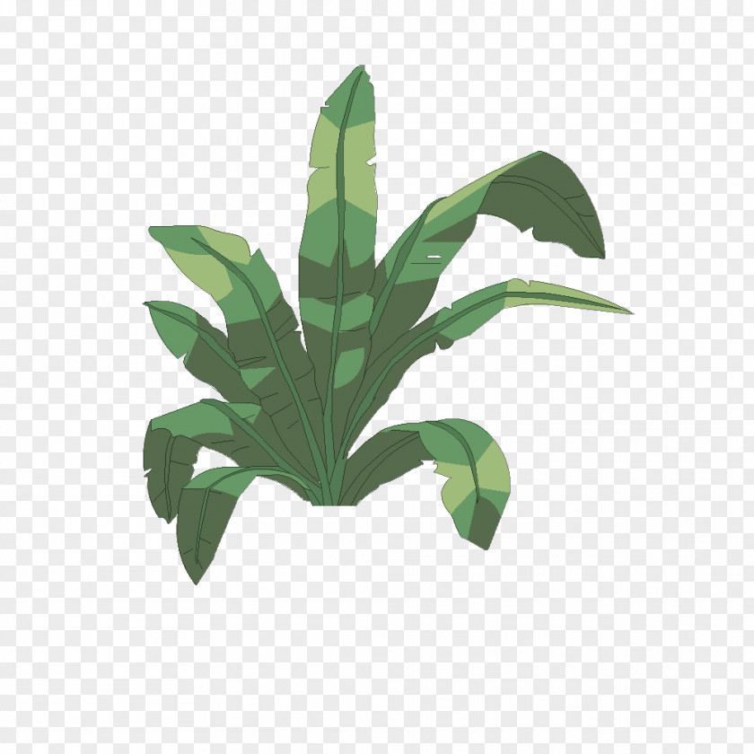 Plantes Multiple Choice Flowerpot Psychological Testing Houseplant Drawing PNG