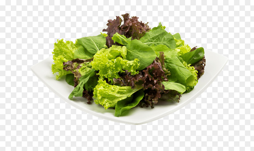 Bife Romaine Lettuce Caesar Salad Vegetarian Cuisine Bauru PNG