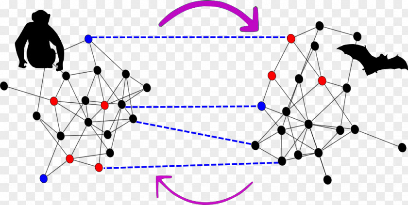 Ecological Information Ecology Research Diagram Triangle Community PNG