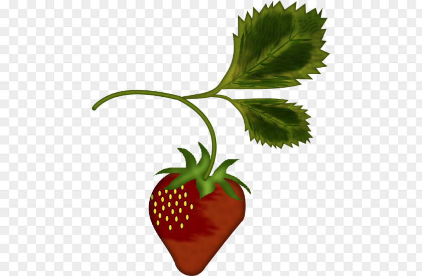 Strawberry Illustration Tree Shortcake Clip Art PNG