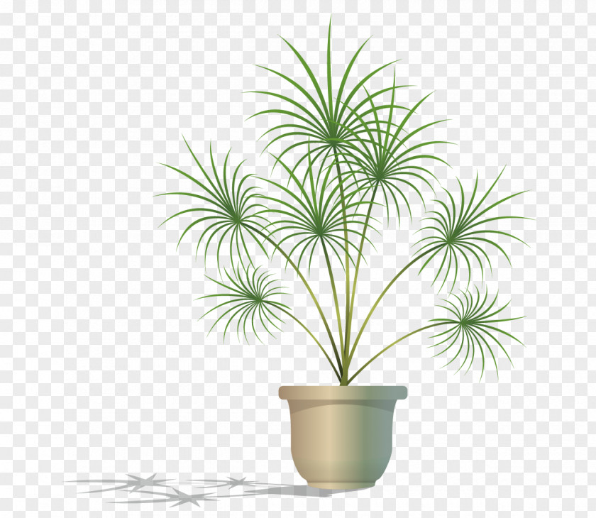 Vector Green Potted Plant PNG