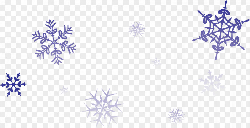 Winter Savings Snowflake Pattern Email Discounts And Allowances PNG