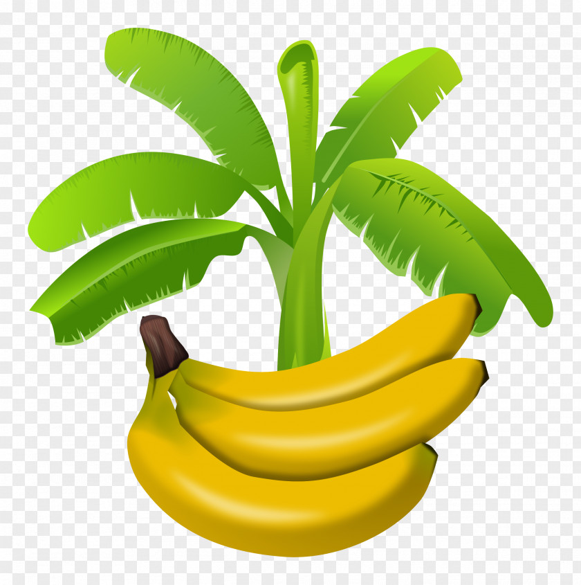 Banana Pudding Fruit Clip Art PNG