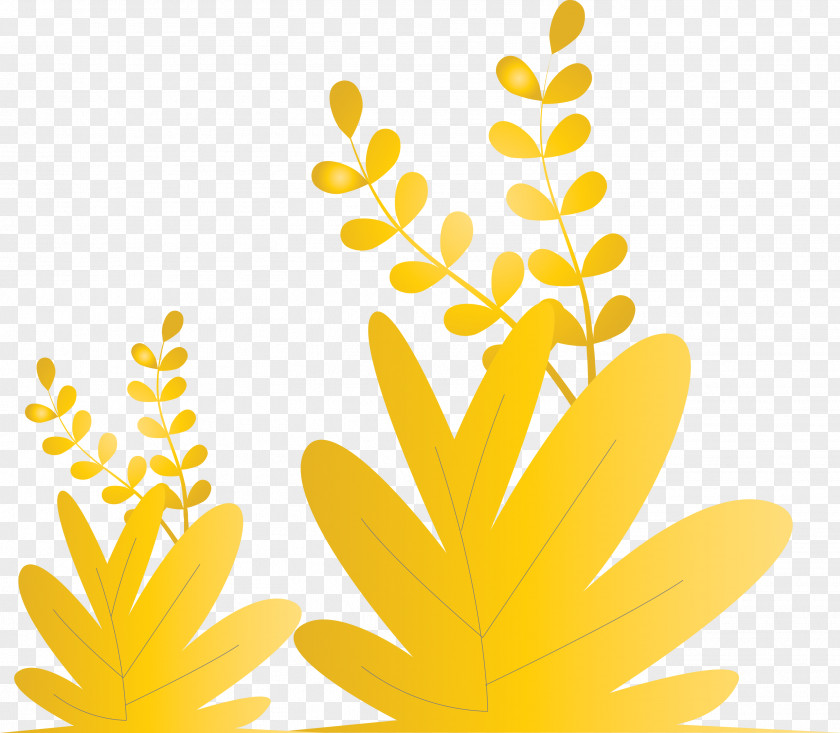 Grass Plant PNG