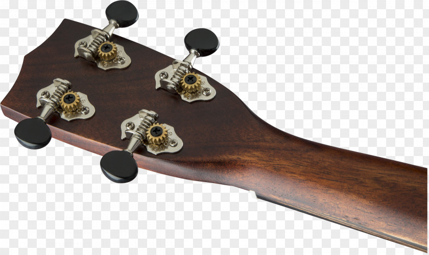 Guitar Amplifier Gretsch Mandolin Ukulele PNG