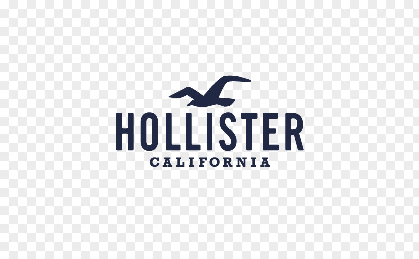 Hollister Hoodie Co. Union Square Aberdeen Clothing PNG