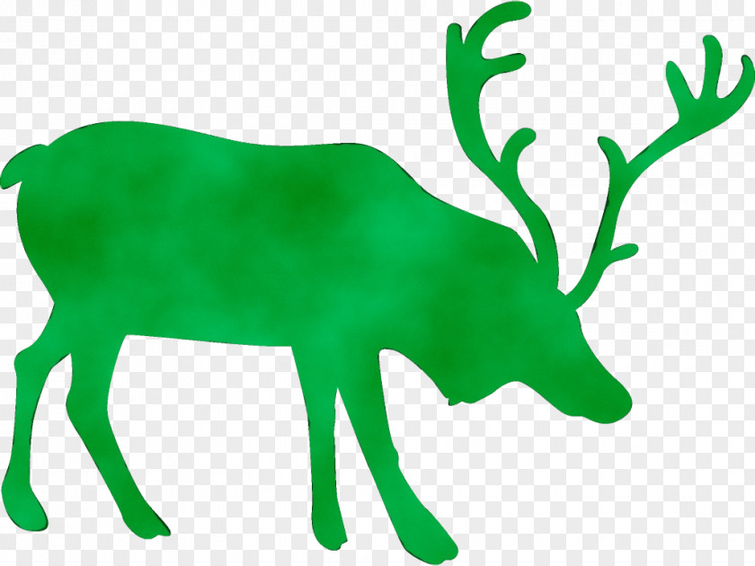 Horn Wildlife Reindeer PNG