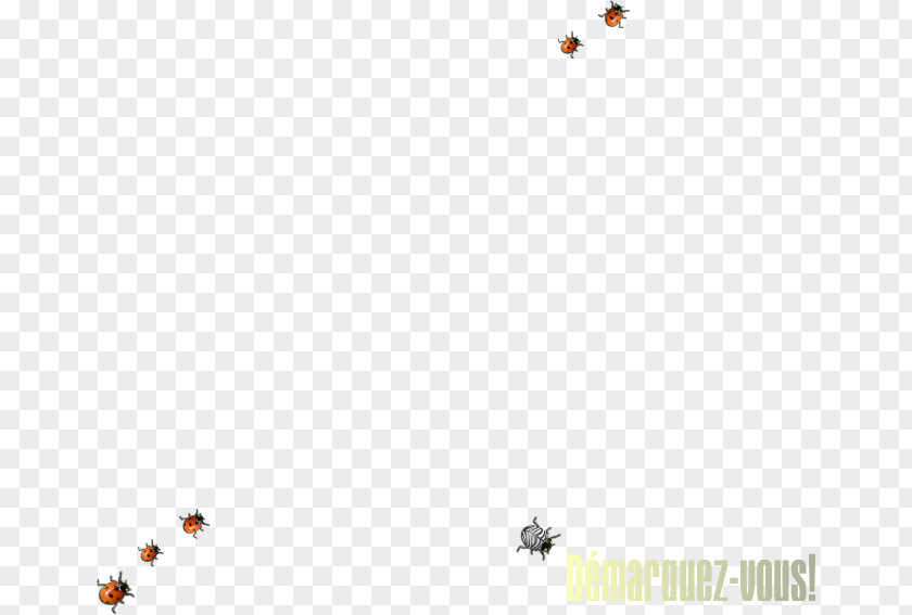 Insect Desktop Wallpaper Pollinator Computer Font PNG