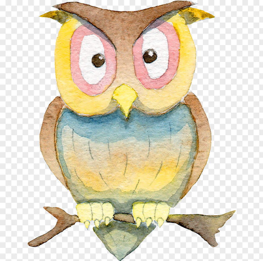 Owl Halloween Illustration PNG