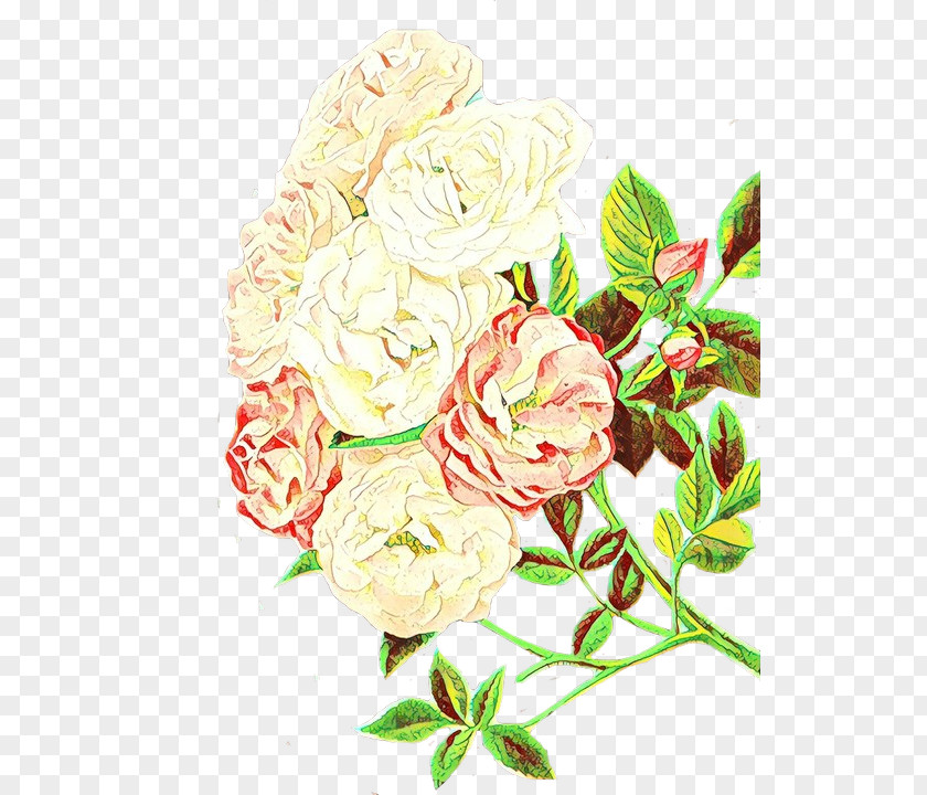 Rosa Wichuraiana Hybrid Tea Rose Pink Flowers Background PNG