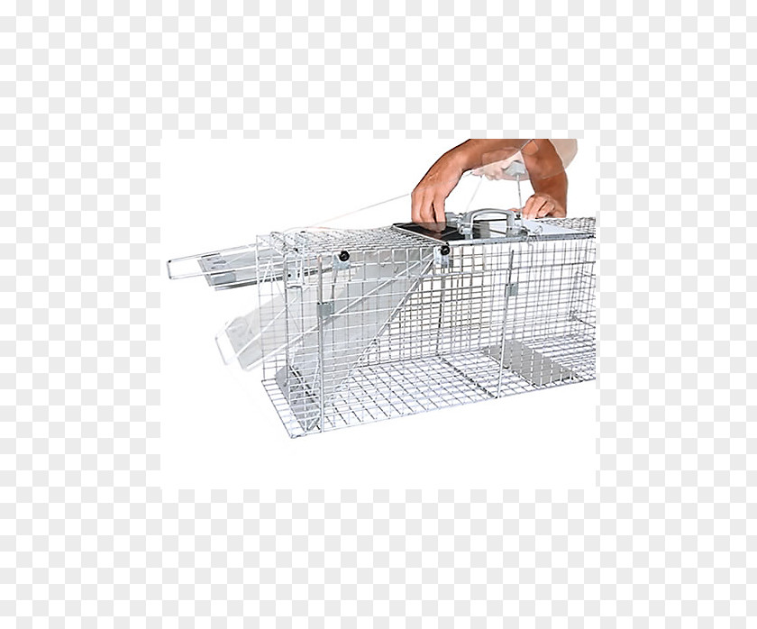 Mouse Trap Trapping Raccoon Marten Cage Stairs PNG