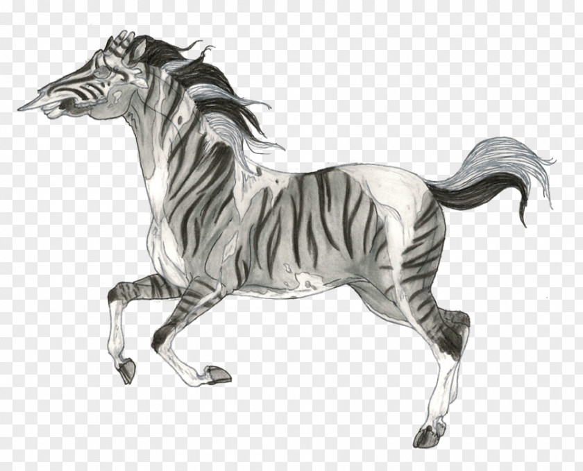 Mustang Mane Stallion Quagga Drawing PNG