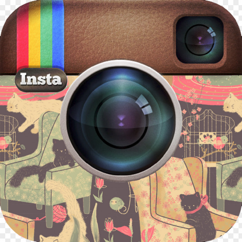 Social Media Instagram Facebook Clip Art PNG
