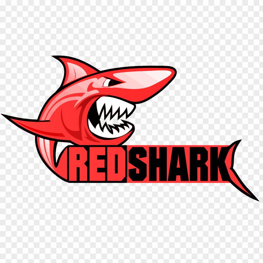 T-shirt Hammerhead Shark Discounts And Allowances PNG