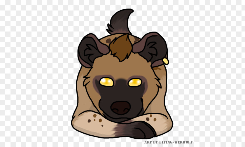Bear Cat Dog Snout Canidae PNG
