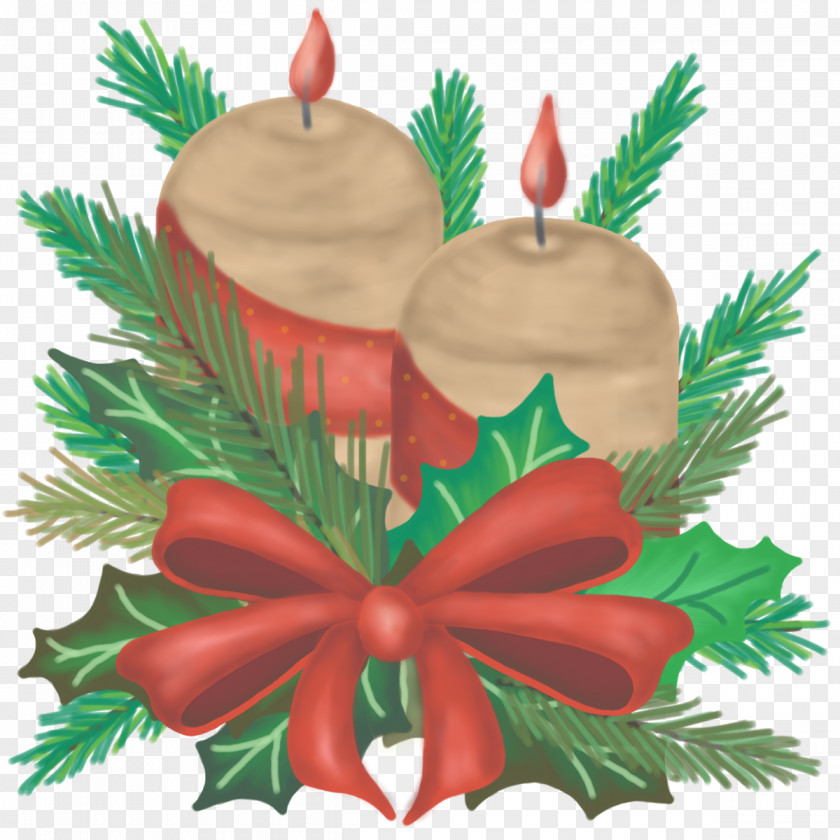 Christmas Fir Ornament Spruce PNG