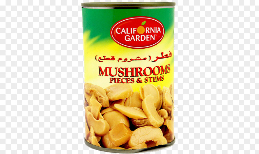 Foreign Food Nut California Mushroom Hummus PNG