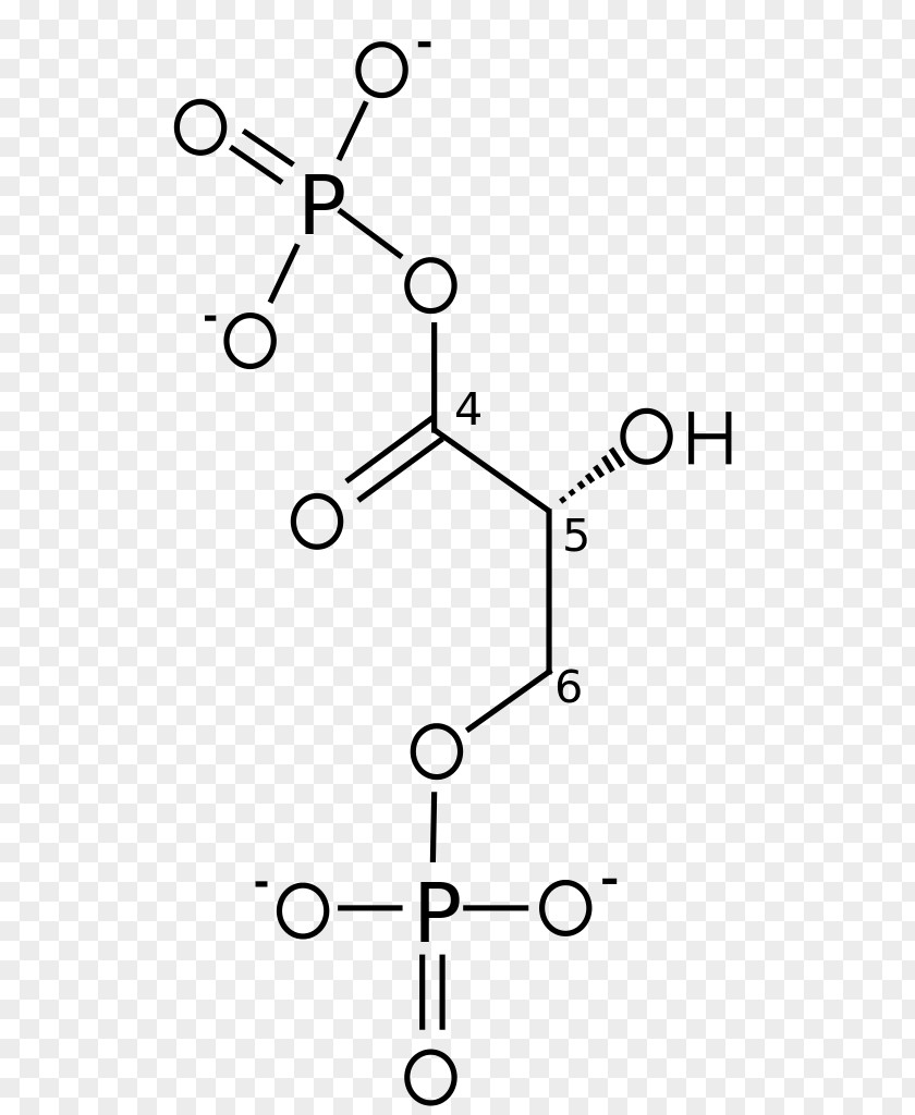 Glyceraldehyde 3-phosphate 3-Phosphoglyceric Acid Glycolysis Dihydroxyacetone Phosphate PNG