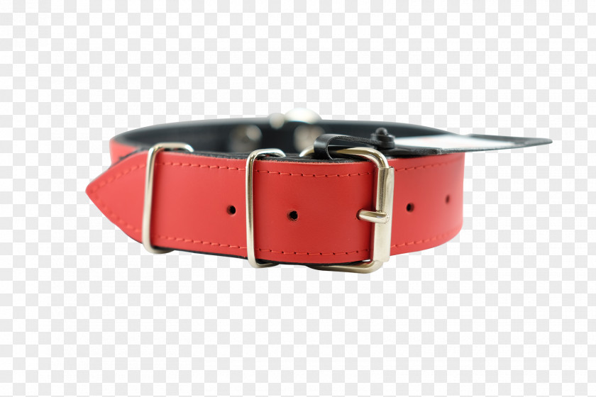 Red Collar Dog Buckle Watch Strap PNG