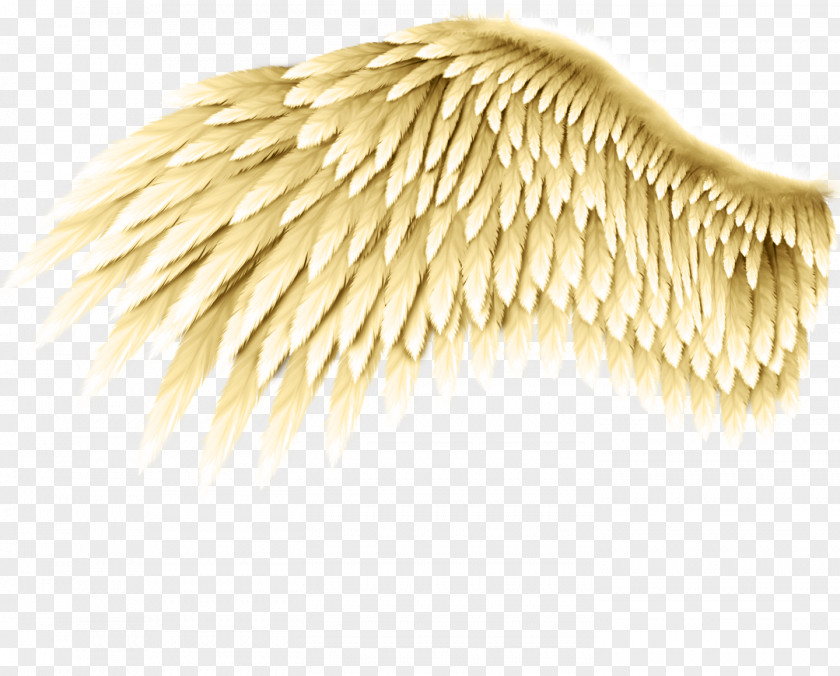 Bird Drawing Angel Wing Tattoo PNG